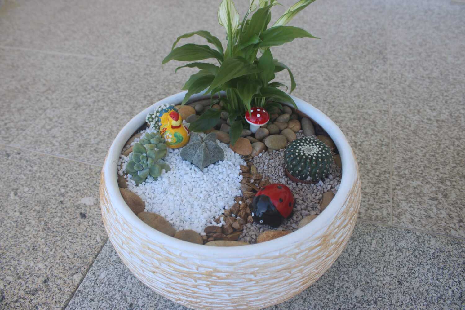 Mini Jardim em Cesta de Barro | Files.fm.